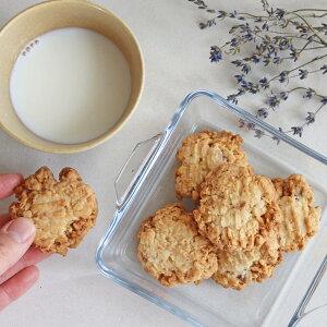 yxǖ Ԏj̏ĉَqzC`WN RRibc NbL[y3pbNset zkCɃRRibc C`WNANZg̃UNUNNbL[ kCY̑fpȏĂَq Y 