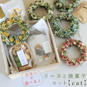 Ԏj̃[XƏĉَqZbg y Cat z / J[IׂhCt[[X  ˂NbL[  킢 ĉَqZbg / R kC kCYo^[f / ̓ v