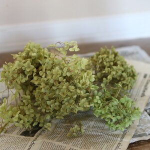 AWTCEAixwbh / AWTC /Y hCt[ ԍ [X  ޗ f i` O[ fBXvC CeA