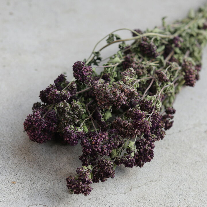 楽天市場 オレガノ 北海道産 ドライフラワー 花材 リース 手作り 国産 材料 素材 ナチュラル インテリア ハーブ パープル シック ドライフラワー雑貨 花七曜