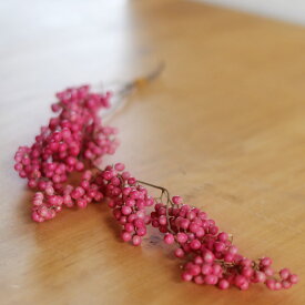 ペッパーベリー ピンク 枝付 / ドライフラワー 花材 リース 手作り 国産 材料 素材 ナチュラル インテリア ディスプレイ 実 シンプル 木の実