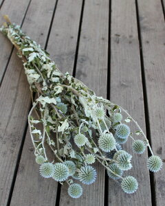 y } hCt[ z ^}AU~/kCYhCt[EԍށE[XEEYEޗEfށEi`ECeA