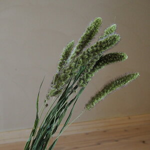 Z^AubN / kCYhCt[  O[ i` fBXvC CeA ԍ  VbN O[