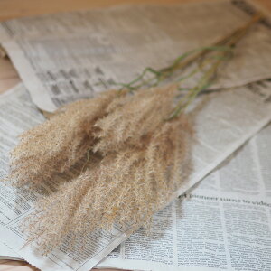  (XXL) / kCYhCt[  O[ i` fBXvC CeA VbN ԍ f