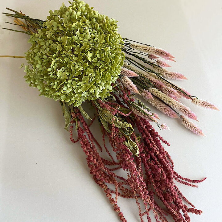 楽天市場 大枝 ロング ドライフラワー アマランサス ひもケイトウ レッド ロング 北海道産 ドライフラワー 花材 リース 手作り 国産 材料 素材 ナチュラル インテリア ディスプレイ けいとう 赤 ドライフラワー雑貨 花七曜