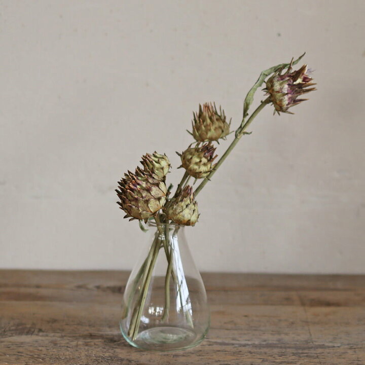 楽天市場 約60 80cm アーティチョーク ロング ドライフラワー 花材 リース 手作り 材料 素材 ナチュラル インテリア ボタニカル グリーン ディスプレイ アーティーチョーク ドライフラワー雑貨 花七曜