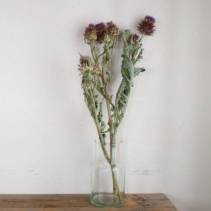 楽天市場 約60 80cm アーティチョーク ロング ドライフラワー 花材 リース 手作り 材料 素材 ナチュラル インテリア ボタニカル グリーン ディスプレイ アーティーチョーク ドライフラワー雑貨 花七曜