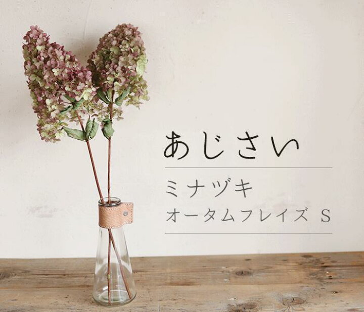 楽天市場 アジサイ ミナヅキ枝付き オータムフレイズ Sサイズ あじさい アジサイ ピラミッドアジサイ ノリウツギ 国産 ドライフラワー 花材 リース 手作り 材料 素材 ナチュラル インテリア ドライフラワー雑貨 花七曜