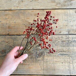 y hCt[ z o̎ V[g  hCt[ / kCYhCt[ ԍ [X  Y ޗ f i` CeA fBXvC Ԃ IW ΂