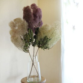 楽天市場 ドライフラワー 花 観葉植物 花 ガーデン Diy の通販