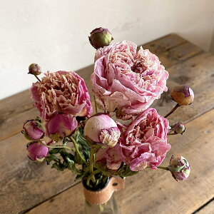 y d z VNN \tgsN / Ⴍ₭ 䉖 / kCY hCt[ ԍ [X  Y ޗ f i` CeA WsN sN