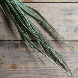 V/ kCYhCt[  O[ i` fBXvC CeA VbN ԍ f