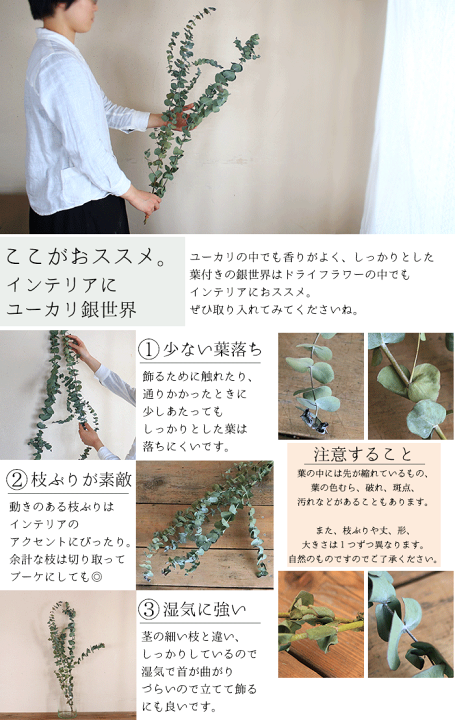 受注制作ユーカリのロングロングミルフィーユガーランド90㎝
