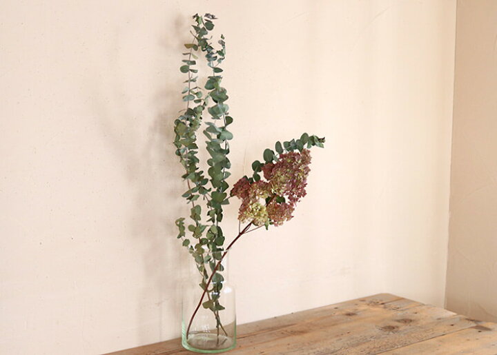 楽天市場 約60 90cm 大枝 ユーカリ 銀世界 ロング ドライフラワー ナチュラル グリーン インテリア 素材 材料 ディスプレイ 長い ドライフラワー雑貨 花七曜