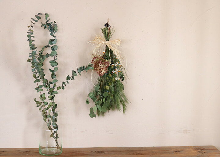 615円 実物 ユーカリ 5種類セット 葉枝 生花 40 60cm アレンジメント スワッグ素材 枝