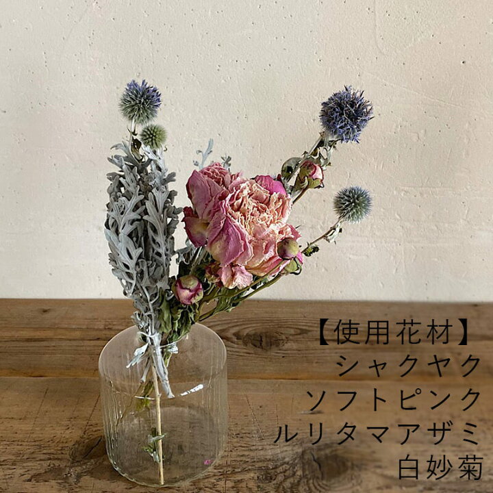 楽天市場】【 八重咲 】 シャクヤク ソフトピンク / しゃくやく 芍薬 