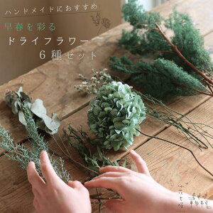 tʂhCt[6Zbg  { Ђ t nhChɂ / }t ALAp[ [JjR [J||Xx[ u[ACX Tc}XM / 