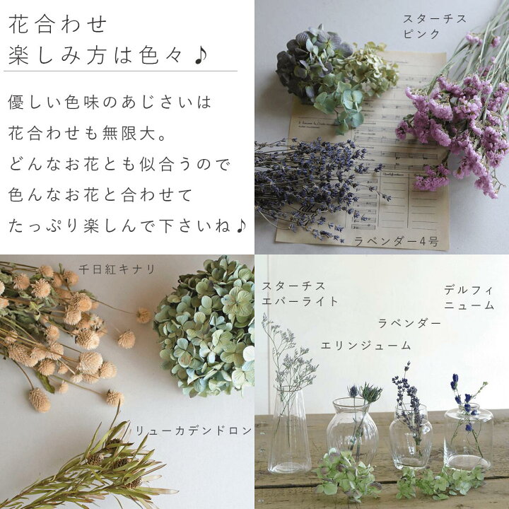 紫陽花ドライフラワー　80  北海道産　80サイズ