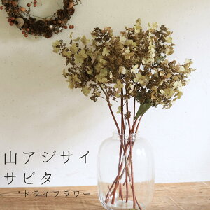 hCt[ xǖY RAWTC Tr^ }t y 2{ z( mEcM ) hCt[ / AWTCE / Y VbN Vv x[W uE } ԍ [X  C