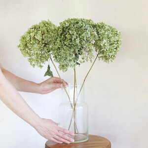 y񒼌a15`20cmzAix}  /AWTC /YhCt[ ԍ [X  CeA i` ޗ f O[