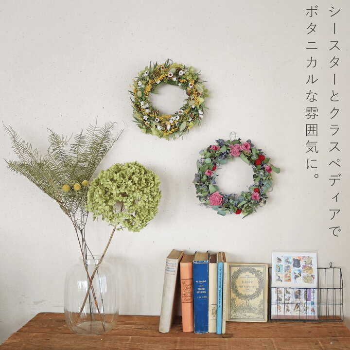 楽天市場】【約直径20～25cm】アナベル枝つき 大 /アジサイ あじさい 