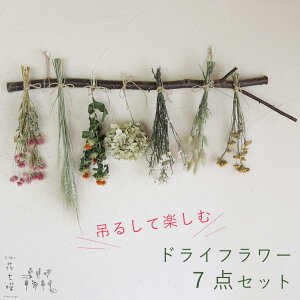 ݂邵Ċyށ hCt[7_Exǖ̔̎}Zbg  }t n^J g gCbNsN Ar[ OX [iX / hCt[ O