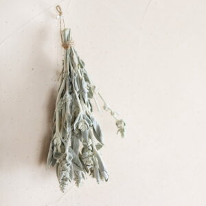 YC[ ( ^`M )/ kCY hCt[ ԍ [X  Y ޗ f i` CeA Vo[[t kCeA 