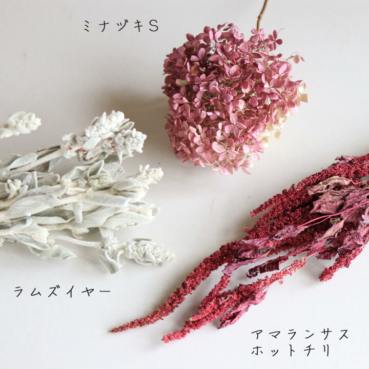 楽天市場 ラムズイヤー ワタチョロギ 北海道産 ドライフラワー 花材 リース 手作り 国産 材料 素材 ナチュラル インテリア シルバーリーフ 北欧インテリア おしゃれ ドライフラワー雑貨 花七曜