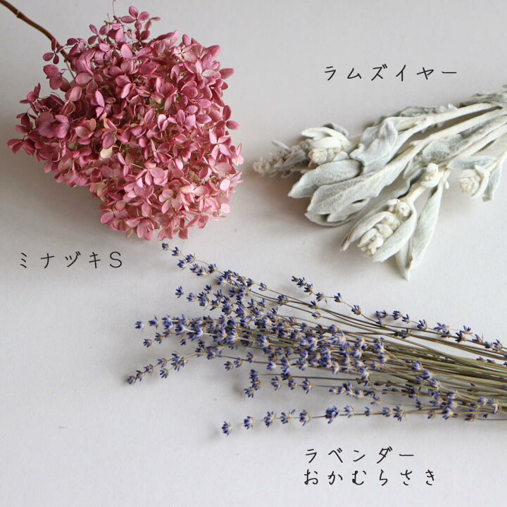 楽天市場 ラムズイヤー ワタチョロギ 北海道産 ドライフラワー 花材 リース 手作り 国産 材料 素材 ナチュラル インテリア シルバーリーフ 北欧インテリア おしゃれ ドライフラワー雑貨 花七曜