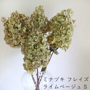 y STCY z AWTC ~idL }t tCY C x[Wn /  AWTC s~bhAWTC mEcM / Y hCt[ ԍ [X  ޗ f i` 