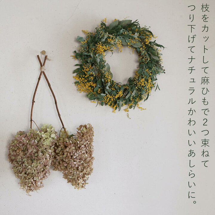 楽天市場】アジサイ ミナヅキ枝付き 中サイズ / あじさい アジサイ 