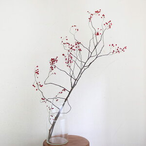 y} Ԃ 60cm`80cmz o̎ hCt[ / kCYhCt[ ԍ [X  Y ޗ f i` CeA fBXvC Ԃ ΂̎ Vv