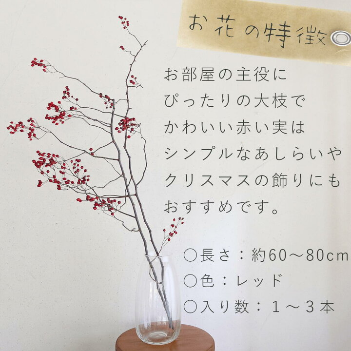 楽天市場】【大枝 赤い実 長さ約60cm〜80cm】 野バラの実 ◇ドライ 