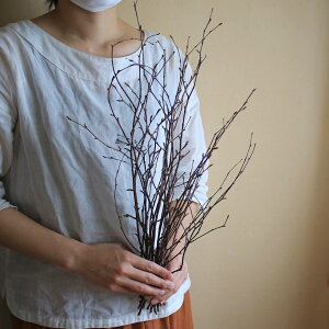 【富良野産】白樺の枝 ブラウン ショート ドライフラワー ◆ ナチュラル インテリア 素材 材料 葉物 枝もの 花材 素材 ディスプレイ 北欧インテリア シンプル 木の枝 おしゃれ