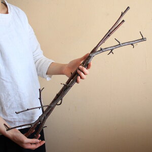 ykC xǖYz̎} O uE 70`80cm y3{Zbgz hCt[  i` CeA f ޗ t } ԍ f fBXvC kCeA Vv 