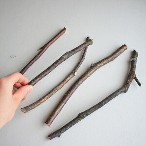 ykC xǖYz̎} ~jTCY y 5{Zbg z hCt[  i` CeA f ޗ t } ԍ f fBXvC kCeA Vv ؂̎} 