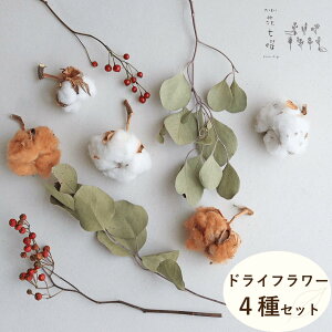 H~CeAɁ o̎ƖȂ̎킢 hCt[4Zbg  o̎ Rbgt[ [J||X  NX}X NX}X[X nhCh kC