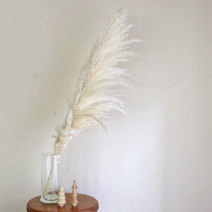 y } 80`90cm z ppXOX  hCt[  i` fBXvC CeA VbN ԍ f lCeBut[  k Li zCg H~ NX}X