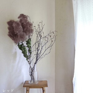 y } 60`80cm z X[Nc[ O (1`2{) [ E O[ E bh /hCt[ ԍ [X  Y ޗ f fBXvC CeA i` Vv } 