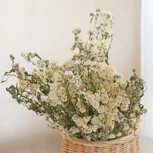 hCt[ ԍ ALAp[  kCY Li zCgn N[ CeA [X Y f i` fBXvC 킢 {^jJ