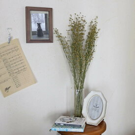 ドライフラワー アマ ＊ 亜麻 あま リンフラワー / 北海道産 花材 枝 リース 手作り 国産 材料 素材 ナチュラル インテリア シンプル グリーン