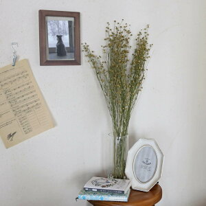 hCt[ A}    t[ / kCY ԍ } [X  Y ޗ f i` CeA Vv O[