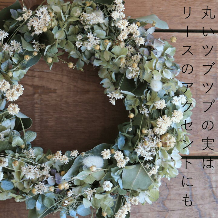 楽天市場】ドライフラワー アマ ＊ 亜麻 あま リンフラワー / 北海道産 