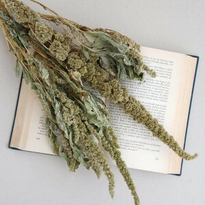 hCt[ ԍ A}TX O[ / kCYhCt[ [X nhCh  Y ޗ f i` CeA fBXvC PCgE