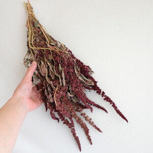 hCt[ ԍ A}TX bh / kCYhCt[ [X nhCh  Y ޗ f i` CeA fBXvC PCgE