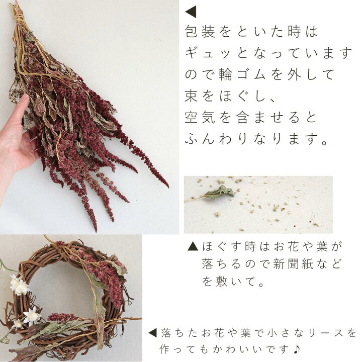 楽天市場】ドライフラワー 花材 アマランサス レッド / 北海道産ドライ 