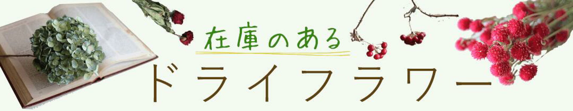 在庫のあるドライフラワーをチェック