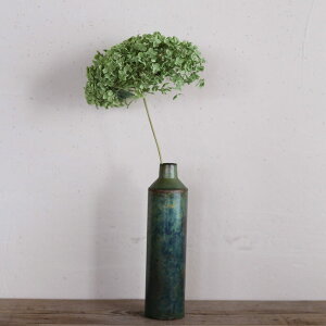 {gx[XM / ACA t[x[X Ԋ CeA fBXvC uJg hCt[