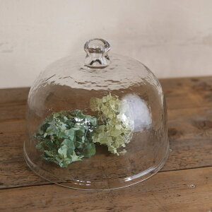 KXJo[L/ g AeB[N i` CeA fBXvC Jo[