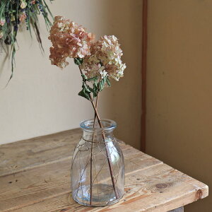 C[R[gx[X  Vv  KX t[x[X ԕr ֑} g AeB[N i` CeA fBXvC